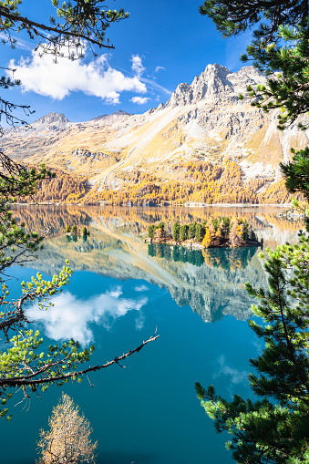 Majestic view of Lake Sils (German: Silsersee, Romansh: Lej da Segl) in Engadin Valley, Switzerland on a sunny autumn day. Stunning reflection of the sky, trees and mountains in the calm water of the lake.