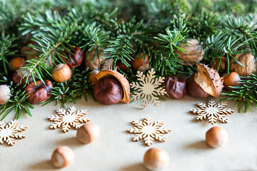 Green branches of a live Christmas tree with nuts scattered on fir branches and snowflakes made of wood lie on craft paper. High quality photo