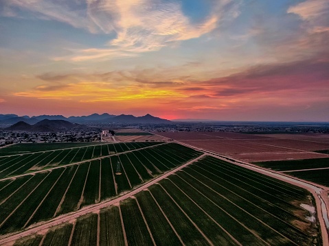 Aerial image of a sunset over a suburban farm, outside of Phoenix, Arizona.