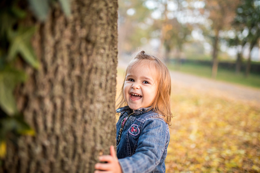 Front view portrait of a happy small toddler girl standing in autumn forest.