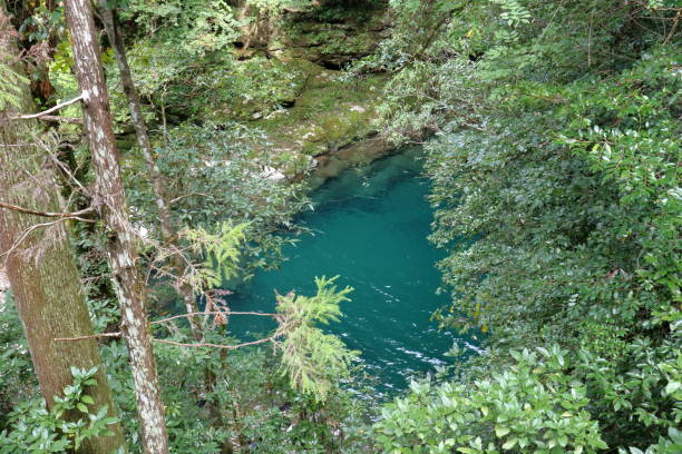 istock The view from the stairs leading down to Nikobuchi (Ino Town, Kochi Prefecture) 1445564234