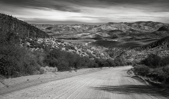 Dirt Road leading down to Horseshoe Reservoir in the Verde River Valley