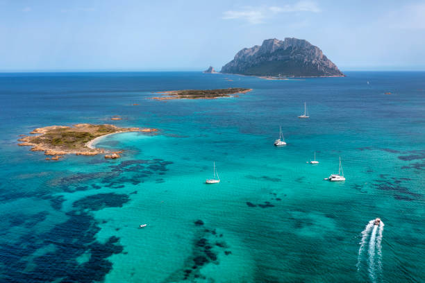 istock Tavolara Island Speedboat Aerial 1445566924