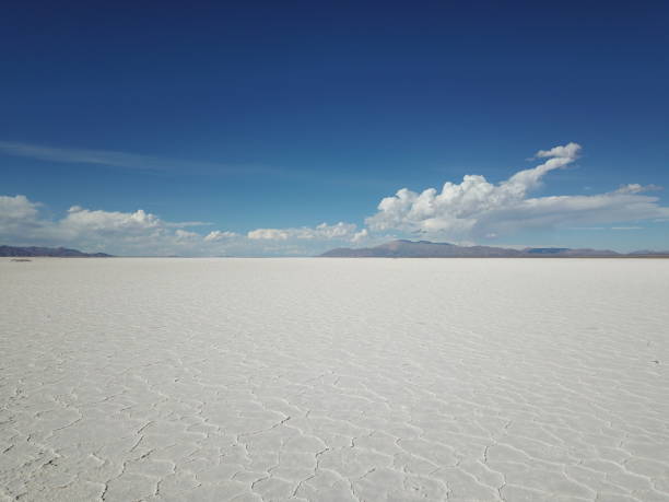 istock Salt flats in northwestern Argentina 1445571018