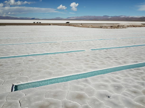 istock Salt flats in northwestern Argentina 1445571899