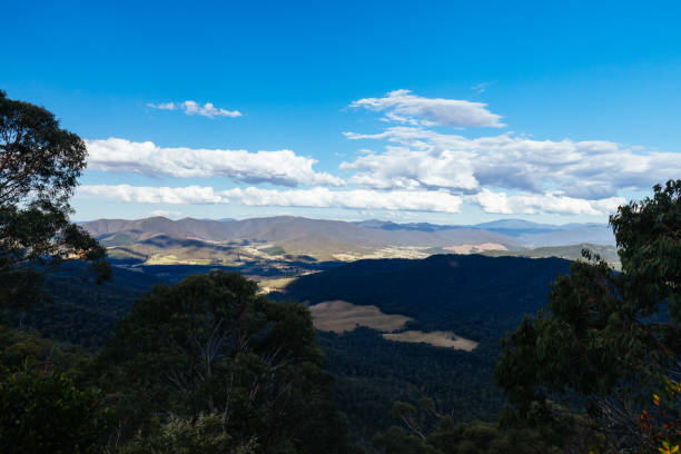 istock Mt Buffalo Views in Australia 1445572615
