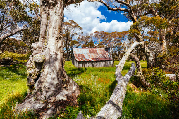 Historic Wallace Hut which is the oldest remaining cattlemen's hut near Falls Creek in the Victorian Alps, Australia