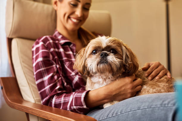 istock Cute dog resting on his owner's lap at home. 1445574865