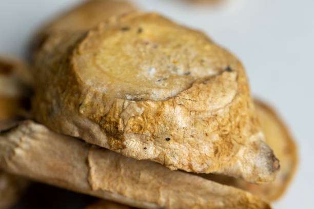 istock Spoiled and covered with mold sliced ginger 1445576688