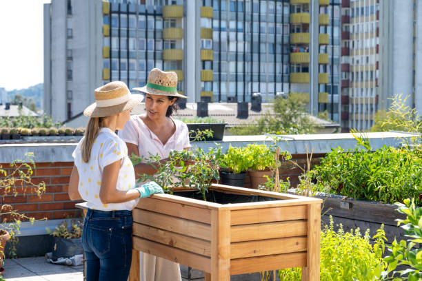 istock Urban gardening together on a rooftop 1445578856