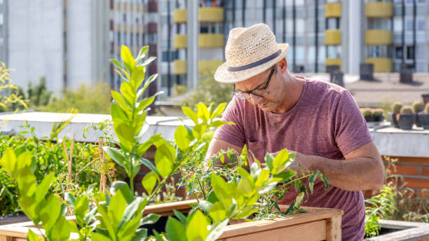 istock Man taking care of his plants 1445578868