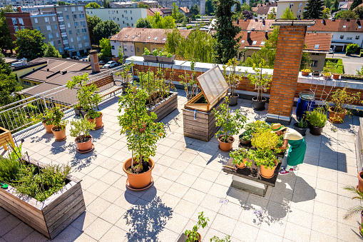 High angle view of young woman taking care of her plants on a rooftop garden with a cityscape