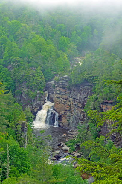 istock Waterfall and Rocks in a Mountain Fog 1445581006