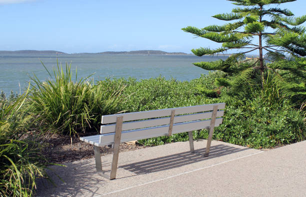 istock Bench seat in a park with trees and a footpath overlooking the ocean 1445581186