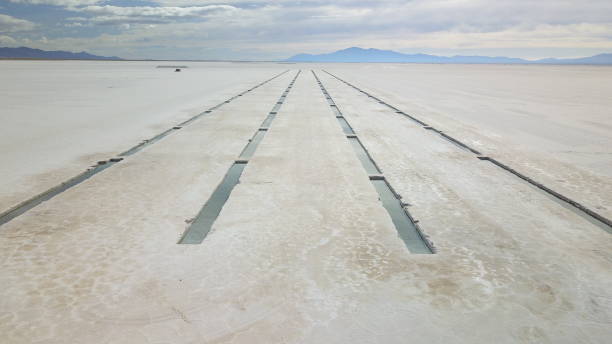 istock Salt flats in northwestern Argentina 1445582717