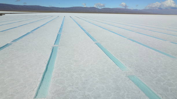 istock Salt flats in northwestern Argentina 1445582731