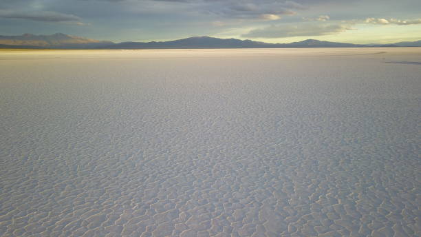 istock Salt flats in northwestern Argentina 1445582735