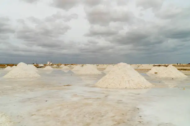 Las Salinas are in Manaure, located 63 km northeast of Riohacha. The place is reached by land and its landscapes are a contrast between desert lands and areas flooded by small puddles of water. On the horizon you can see the huge mountains of salt.