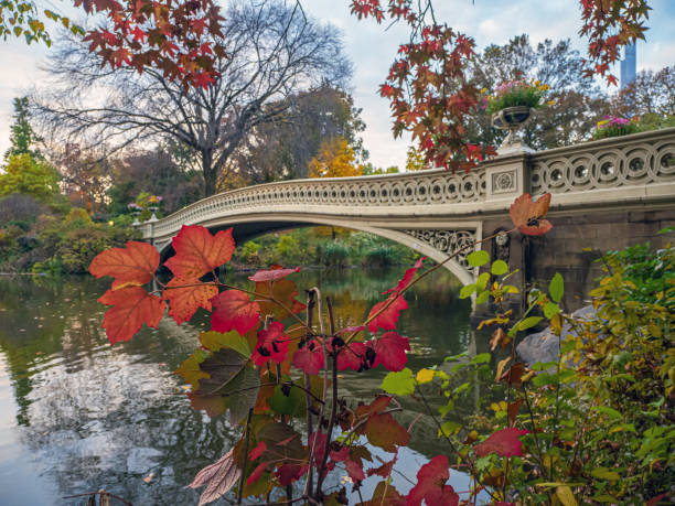 istock Bow bridge in late autumn 1445589689