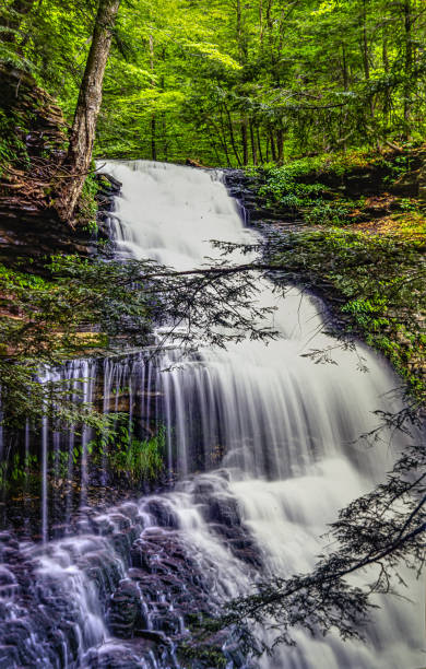 istock Ricketts Glen State Park ,Ganoga falls 1445590289