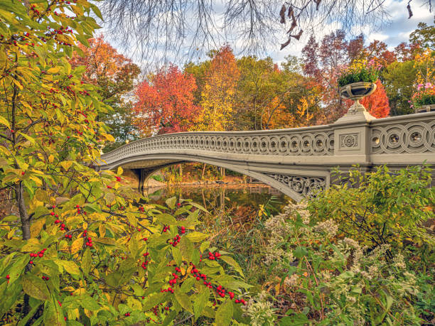 istock Bow bridge in late autumn 1445590299