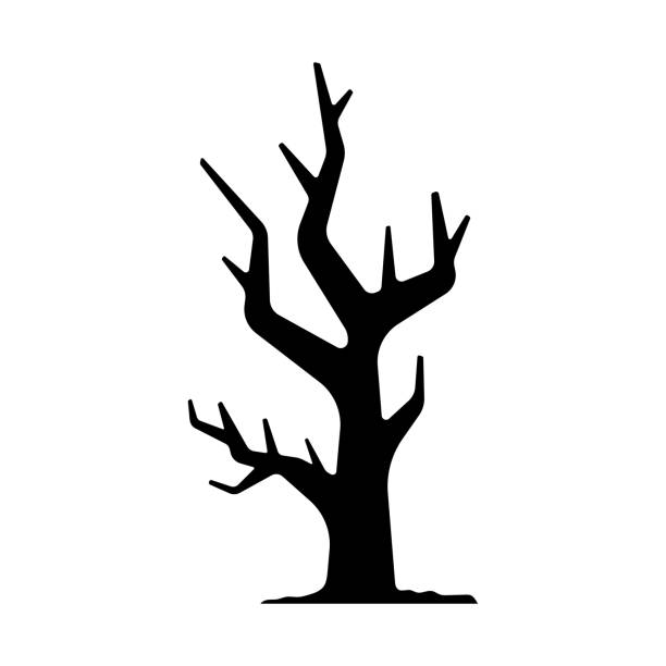 ilustraciones, imágenes clip art, dibujos animados e iconos de stock de icono de árbol. silueta negra. vista frontal vertical. ilustración gráfica plana simple vectorial. objeto aislado sobre fondo blanco. aislar. - tree branch burnt silhouette