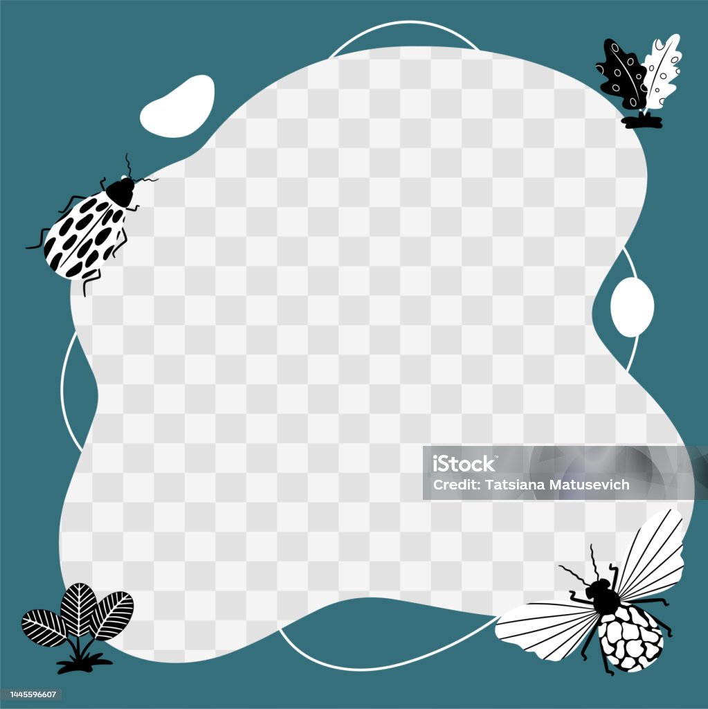 Ilustración de Insectos Mariposas Escarabajos Flores Marco Vectorial En Forma De Mancha En Un Estilo Plano De Dibujos Animados Plantilla Para Fotos Infantiles Postales Invitaciones y más Vectores Libres de Derechos de Ilustración de Insectos Mariposas Escarabajos Flores Marco Vectorial En Forma De Mancha En Un Estilo Plano De Dibujos Animados Plantilla Para Fotos Infantiles Postales Invitaciones y más Vectores Libres de Derechos de