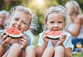 kinder-wassermelone-und-freunde-bei-einem-picknick-in-der-natur-und-essen-gesundes-obst-in.jpg?b=1&s=170x170&k=20&c=ClJa9KlsQcMkRGqVItHNnrF3HSPIEYpNvRrNw3Wwjc8=