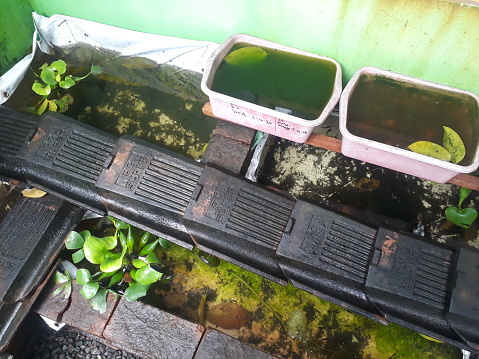 A simple fish pond from tarpaulin