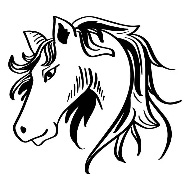 Vector illustration of Sketch horse head hand drawing illustration
