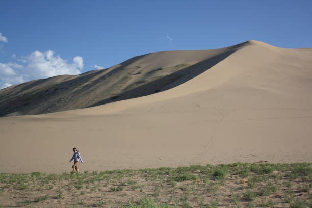 A precious harmony between the barren sand dunes and the green vegetation in Khongor region, Umnugovi province Mongolia. stock photo