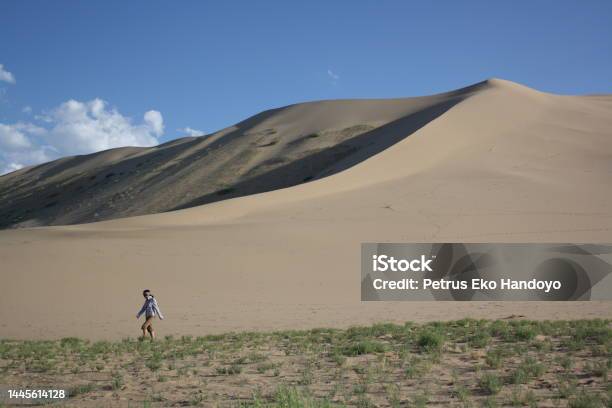 A Precious Harmony Between The Barren Sand Dunes And The Green Vegetation In Khongor Region Umnugovi Province Mongolia Stock Photo - Download Image Now
