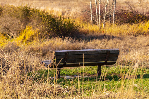 Park bench overlooking Swan Lake.