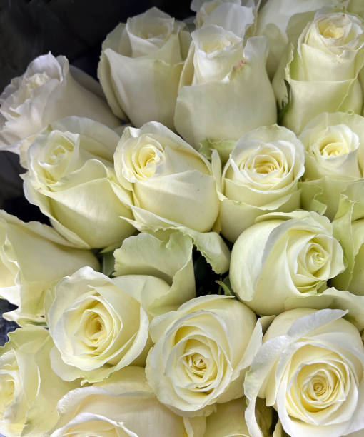 istock Bouquet of roses 1445618944
