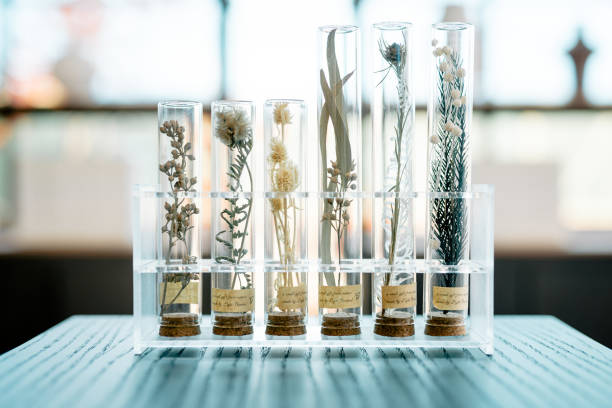 Plant specimens are placed in test tubes