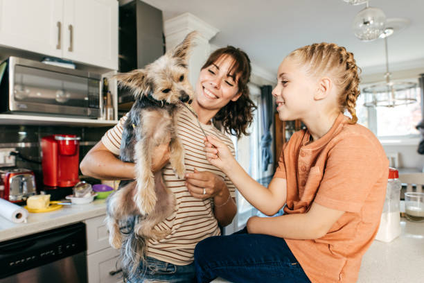 istock Family together in the kitchen 1445621771