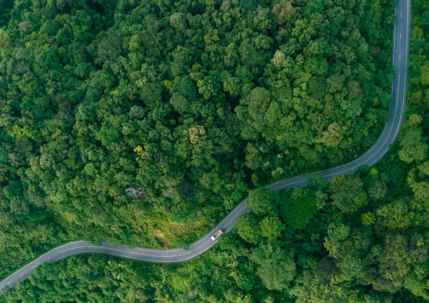 Aerial view of a road in the middle of the forest , road curve construction up to mountain stock photo