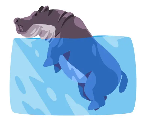 Vector illustration of Hippo hippopotamus swim in water big grey african animal illustration in flat cartoon style