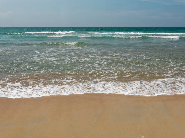 istock View of a tropical wave water seashore and sandy beach 1445629368