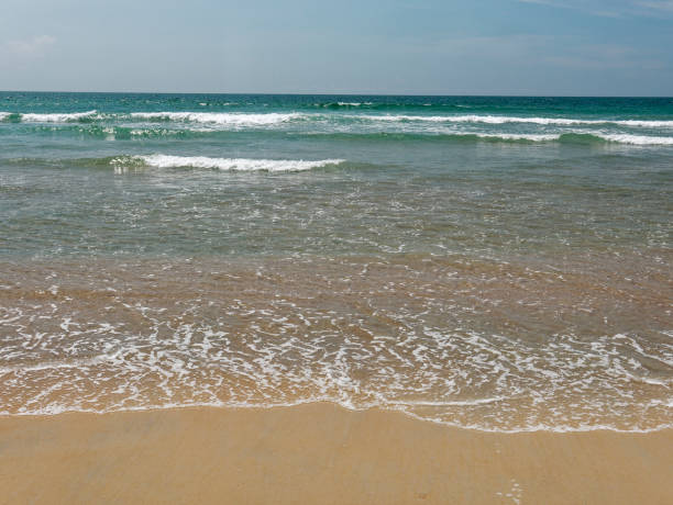 istock View of a tropical wave water seashore and sandy beach 1445629369