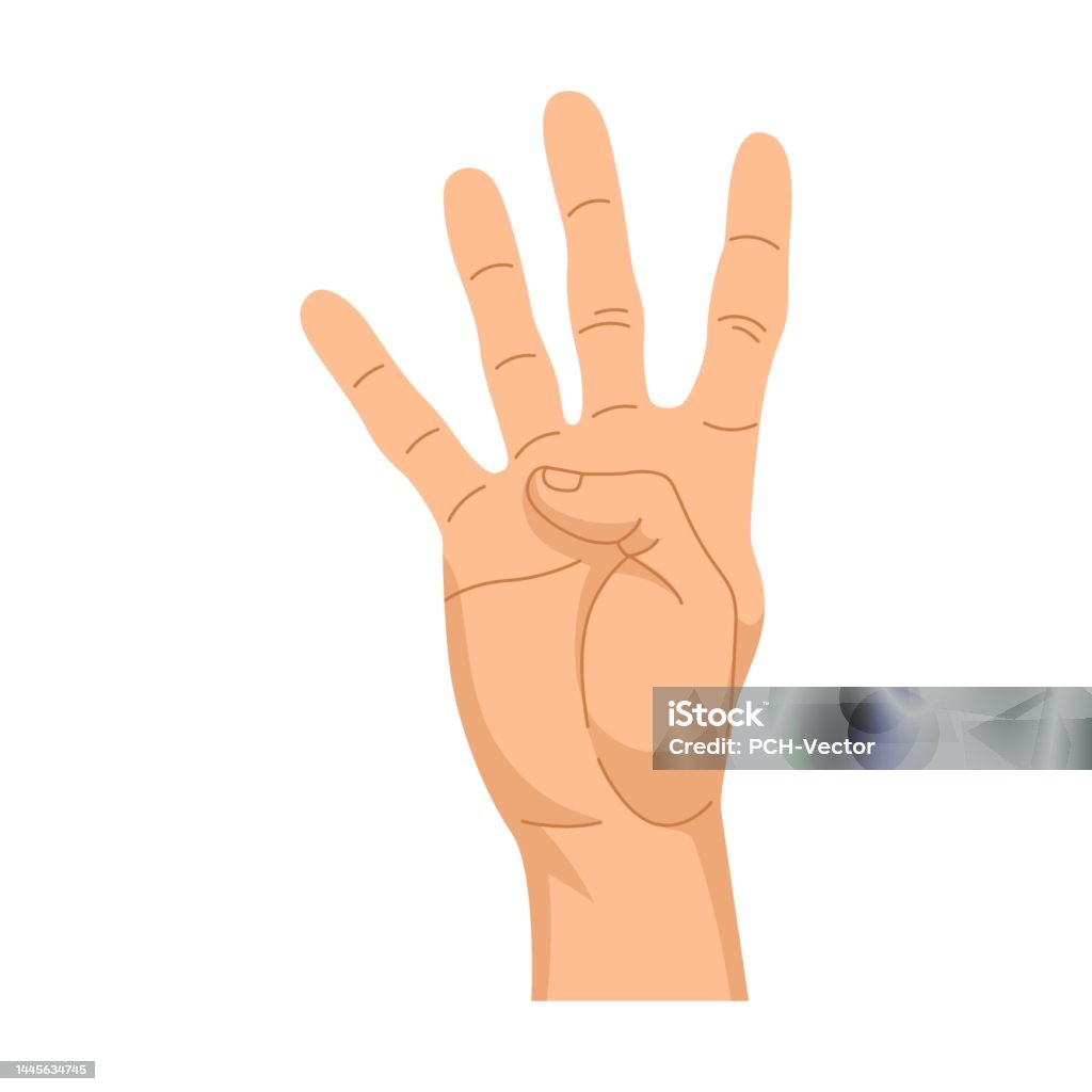 Gesto Na Forma De Quatro Dedos, Indicador, Meio, Anônimo, Dedo Pequeno,  Elevado Para Cima a Mão Mostra O Número Ilustração do Vetor - Ilustração de  escolha, pulso: 164679214