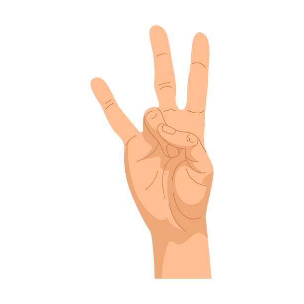 gesty dłoni. ilustracja przedstawiająca znak ludzkiej dłoni. kreskówkowy symbol pokoju, kciuk w górę, ok pozycje izolowane na białym - hand sign peace sign palm human hand stock illustrations
