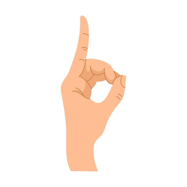 gesty dłoni. wektorowa ilustracja ludzkiej dłoni pokazująca dobry znak. kreskówkowy symbol pokoju, kciuk w górę, ok pozycje izolowane na białym - hand sign peace sign palm human hand stock illustrations