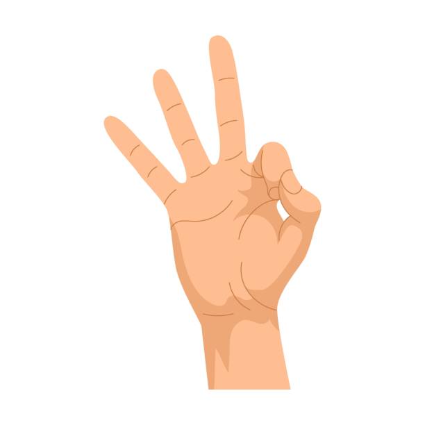 gesty dłoni. wektorowa ilustracja ludzkiej dłoni ze znakiem numer trzy. kreskówkowy symbol pokoju, kciuk w górę, ok pozycje izolowane na białym - hand sign peace sign palm human hand stock illustrations