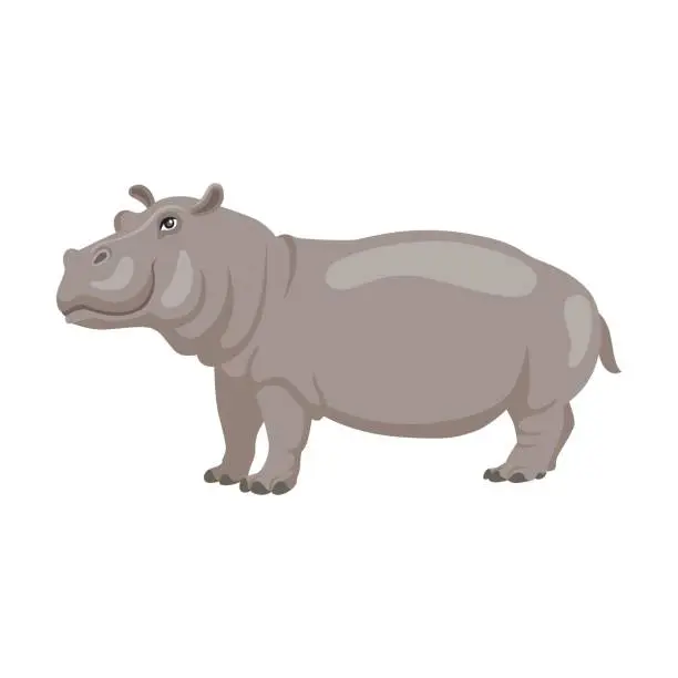 Vector illustration of Hippopotamus illustration. African animal sitting, swimming in lake or river and standing on white background