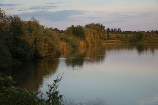 istock Tranquil calm lake with an autumn park on the shore 1445640123