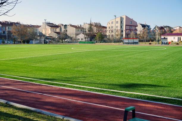 istock Green soccer pitch on a sunny day 1445640240