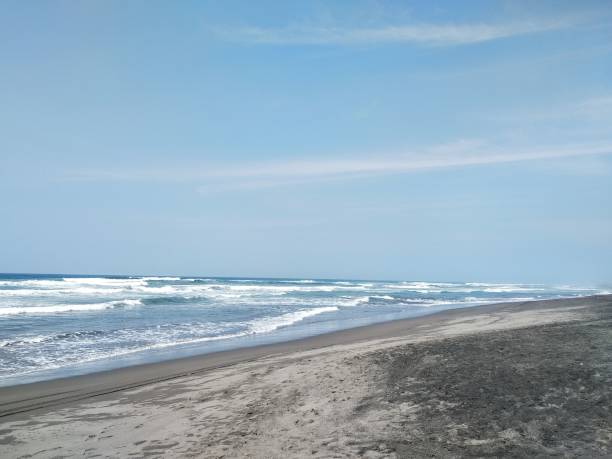 istock Tranquil scenery of the ocean waves hitting a sandy beach 1445640649