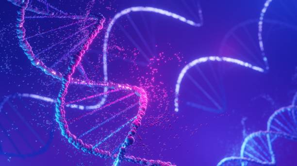 istock DNA spiral structure. DNA Helix complementary strand of  Sequences genetic code or genome. Gene expression. nucleotide database. The Central Dogma process of transcription and translation. 3D Render. 1445640967