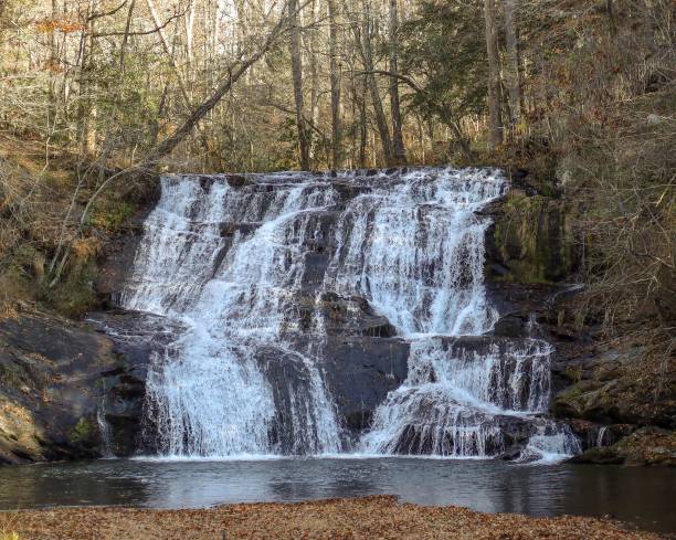istock Beautiful shot of a mountain waterfall surrounded by dry leafless trees 1445641342